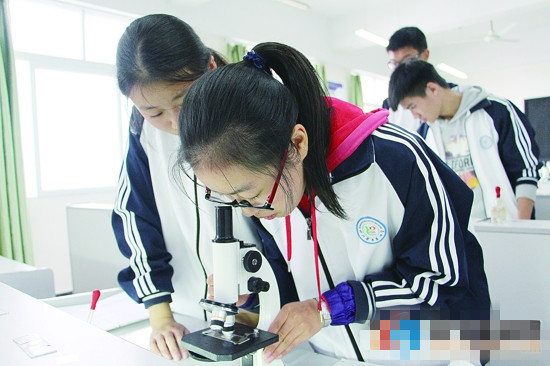 灌南六塘小学：重均衡发展 保教育公平