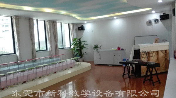 <a href='/chanpin/58-1.html' target='1' style='font-size:18px; font-weight:bold; color:#000000;'>音乐功能室</a>